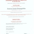 Powiększ obraz: certificate 1
