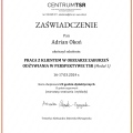 Powiększ obraz: certificate 21