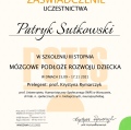 Powiększ obraz: certificate 14