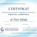 Powiększ obraz: certificate 14