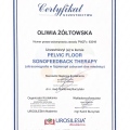 Powiększ obraz: certificate 4