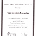 Powiększ obraz: certificate 12