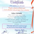Powiększ obraz: certificate 2