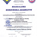 Powiększ obraz: certificate 2