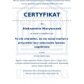 Powiększ obraz: certificate 7