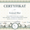 Powiększ obraz: certificate 11