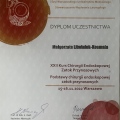 Powiększ obraz: certificate 3