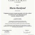 Powiększ obraz: certificate 4