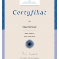 Powiększ obraz: certificate 1
