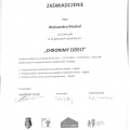 Powiększ obraz: certificate 13
