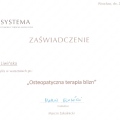 Powiększ obraz: certificate 11