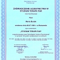 Powiększ obraz: certificate 3