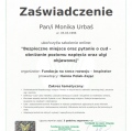Powiększ obraz: certificate 8