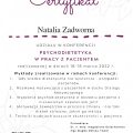 Powiększ obraz: certificate 9