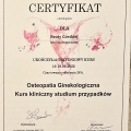 Powiększ obraz: certificate 7