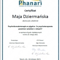 Powiększ obraz: certificate 1