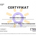 Powiększ obraz: certificate 5