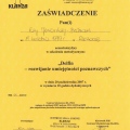 Powiększ obraz: certificate 21