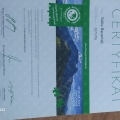 Powiększ obraz: certificate 12