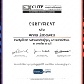 Powiększ obraz: certificate 6