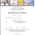 Powiększ obraz: certificate 38