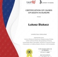 Powiększ obraz: certificate 208