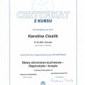 Powiększ obraz: certificate 19