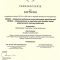 Powiększ obraz: certificate 16