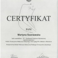 Powiększ obraz: certificate 11