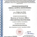 Powiększ obraz: certificate 7