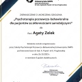 Powiększ obraz: certificate 2