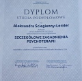 Powiększ obraz: certificate 2