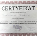 Powiększ obraz: certificate 4