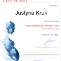 Powiększ obraz: certificate 8