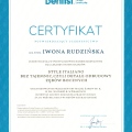 Powiększ obraz: certificate 3