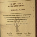 Powiększ obraz: certificate 13