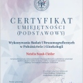 Powiększ obraz: certificate 2