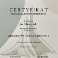 Powiększ obraz: certificate 2