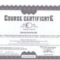 Powiększ obraz: certificate 7