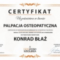 Powiększ obraz: certificate 21