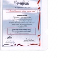 Powiększ obraz: certificate 6