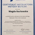 Powiększ obraz: certificate 7