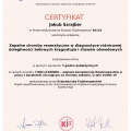 Powiększ obraz: certificate 42