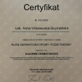 Powiększ obraz: certificate 2