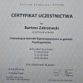 Powiększ obraz: certificate 15