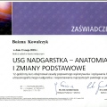 Powiększ obraz: certificate 3