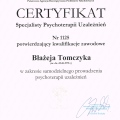Powiększ obraz: certificate 1