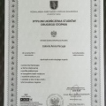 Powiększ obraz: certificate 5