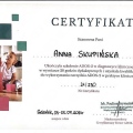 Powiększ obraz: certificate 4