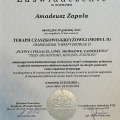 Powiększ obraz: certificate 27
